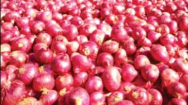onion